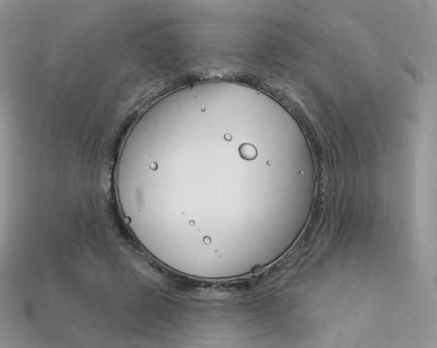 X0000113230545200909100945