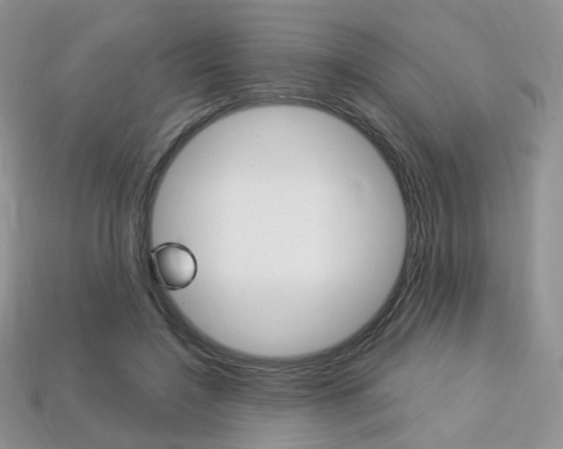 X0000113230548200909100945