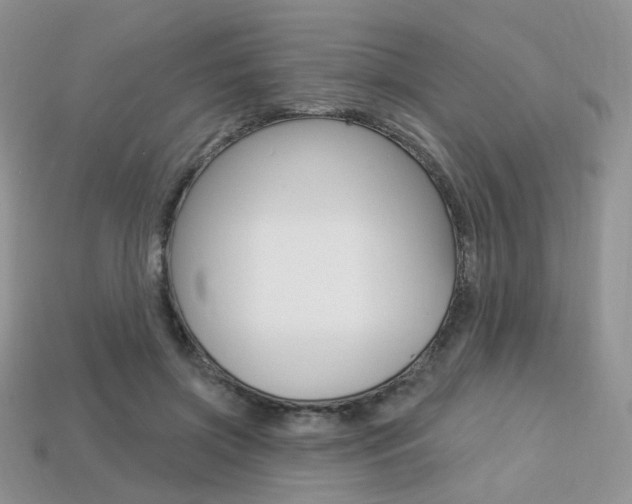 X0000113230549200909100945