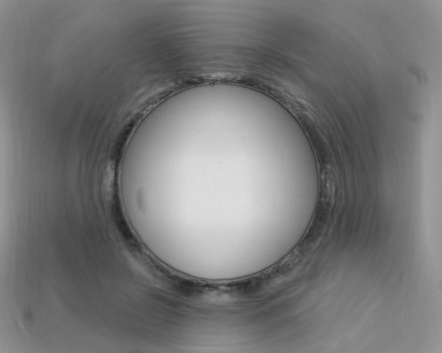X0000113230550200909100945
