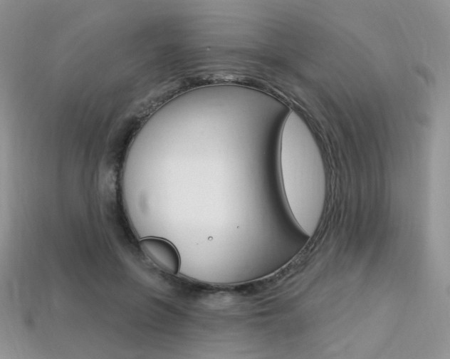 X0000113230551200909100945