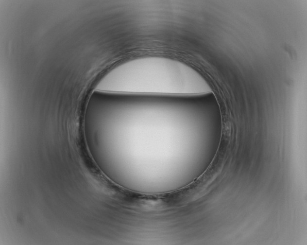 X0000113230552200909100945
