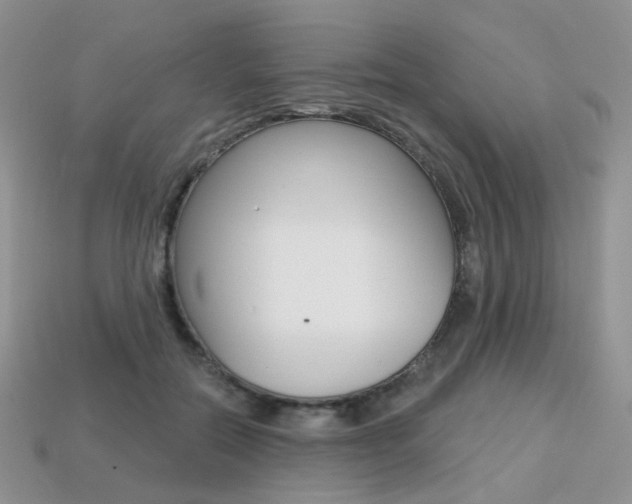 X0000113230554200909100945