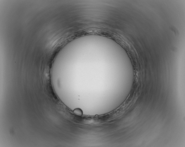 X0000113230561200909100945