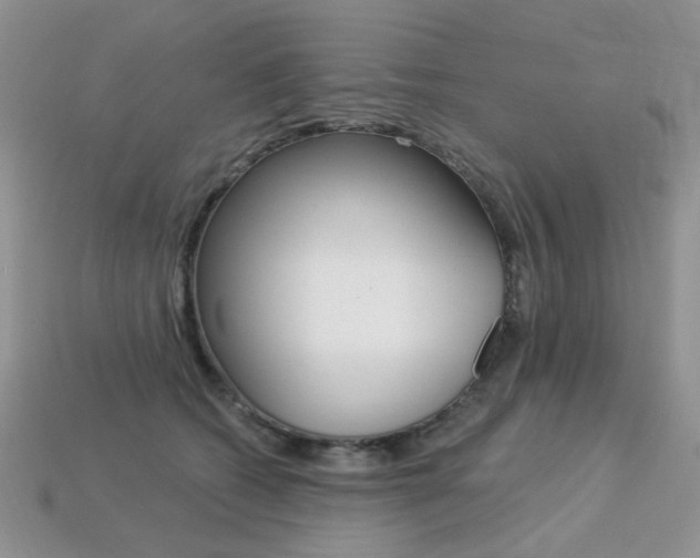 X0000113230562200909100945