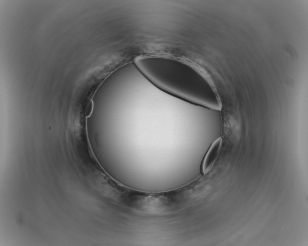 X0000113230566200909100945