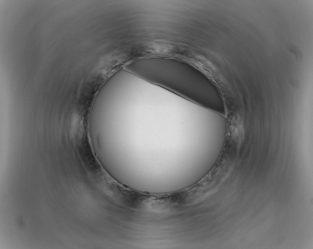 X0000113230568200909100946