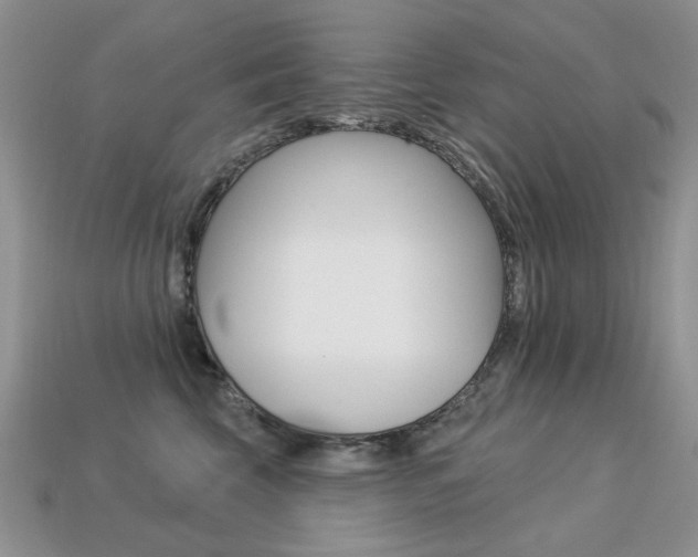 X0000113230569200909100946