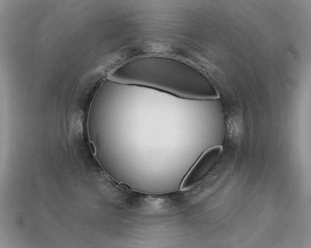 X0000113230570200909100946