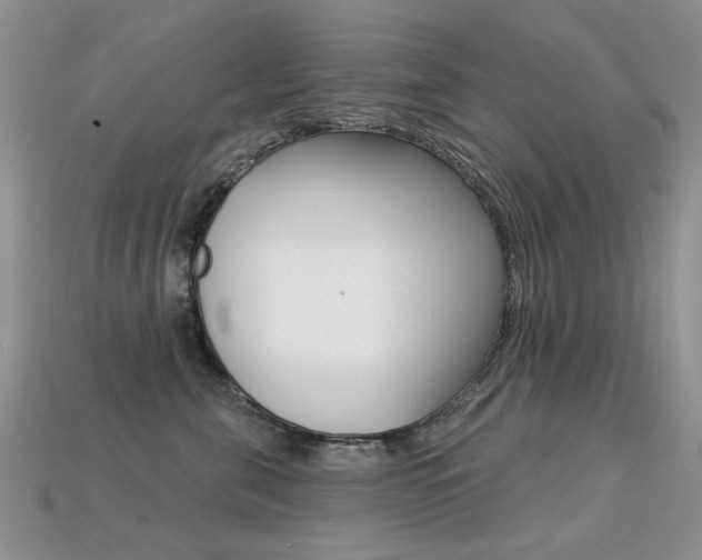X0000113230571200909100946