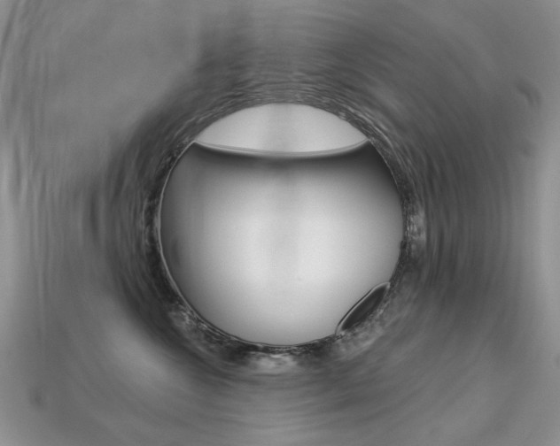 X0000113230572200909100946