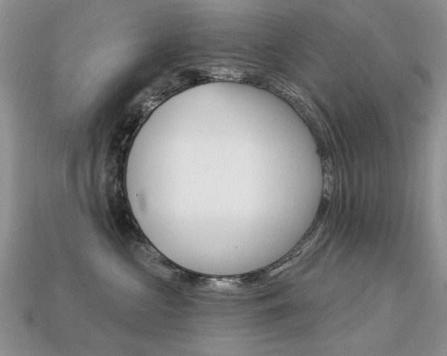 X0000113230573200909100946