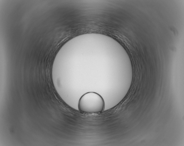 X0000113230576200909100946