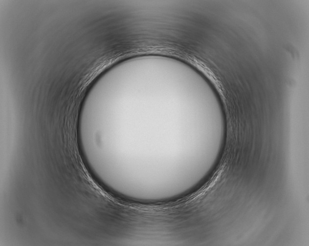 X0000113230577200909100945