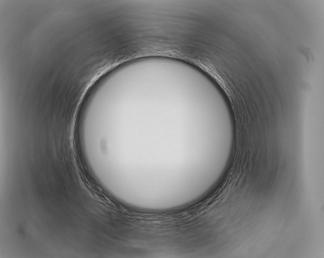 X0000113230579200909100945