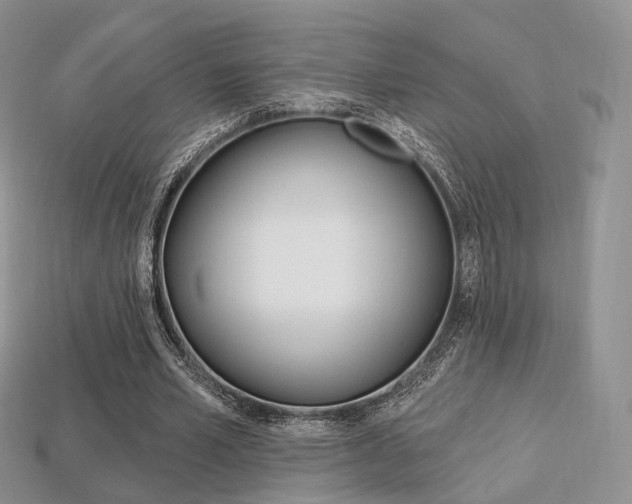 X0000113230581200909100945