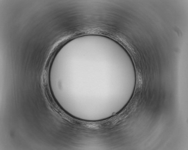 X0000113230583200909100945
