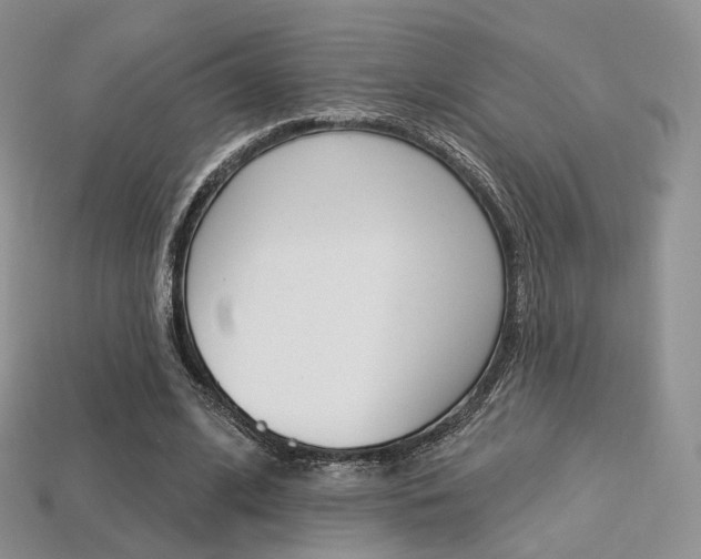 X0000113230584200909100945