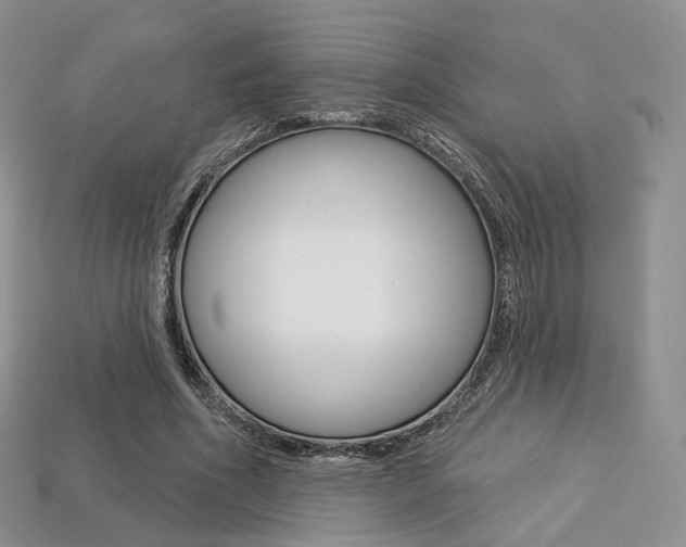 X0000113230586200909100945