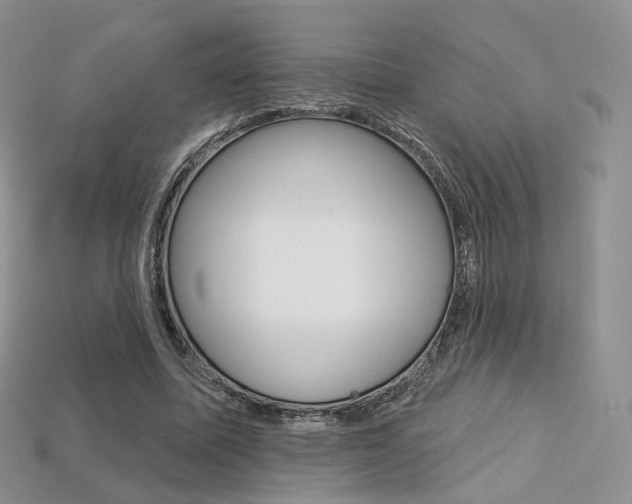 X0000113230587200909100945