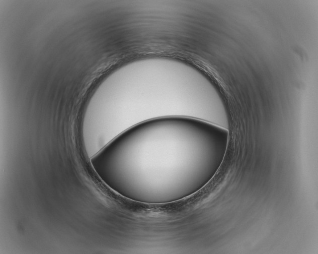 X0000113230589200909100945