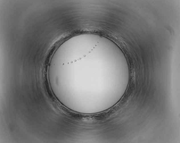 X0000113230591200909100945