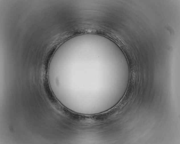 X0000113230594200909100945