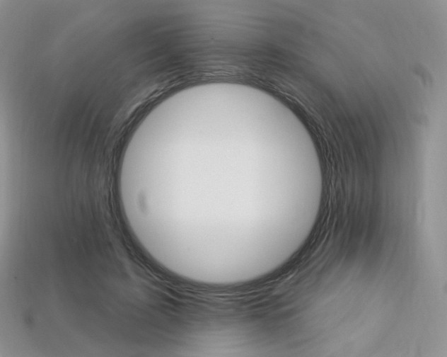X0000113230595200909100945