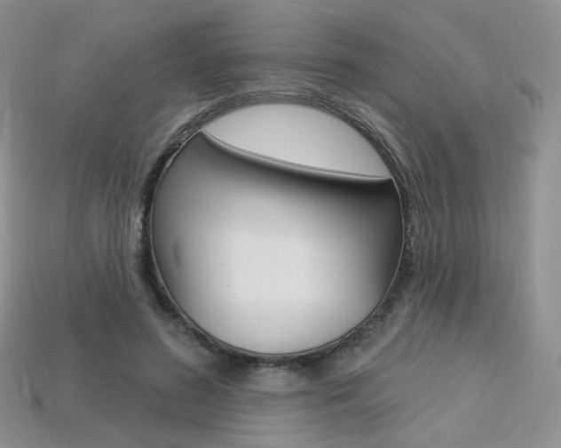 X0000113230596200909100945