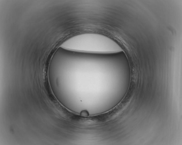 X0000113230597200909100945
