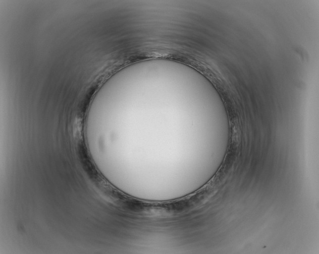 X0000113230598200909100945