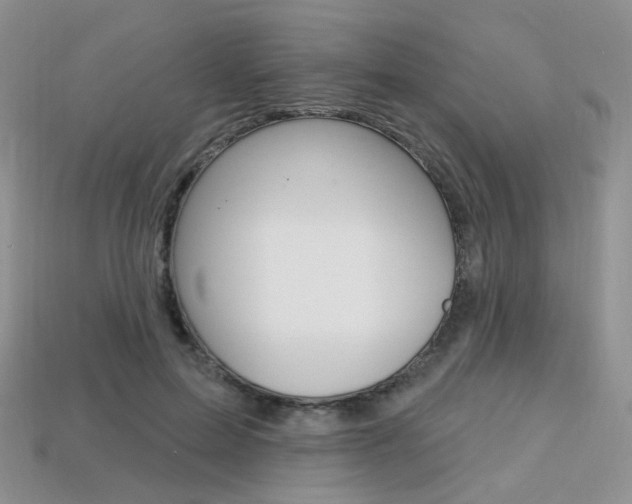 X0000113230599200909100945