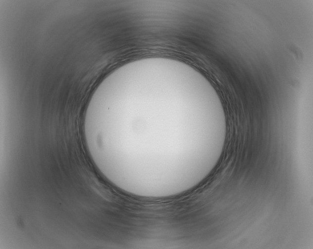 X0000113230601200909100945