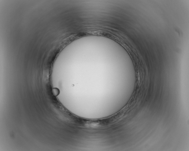 X0000113230602200909100945
