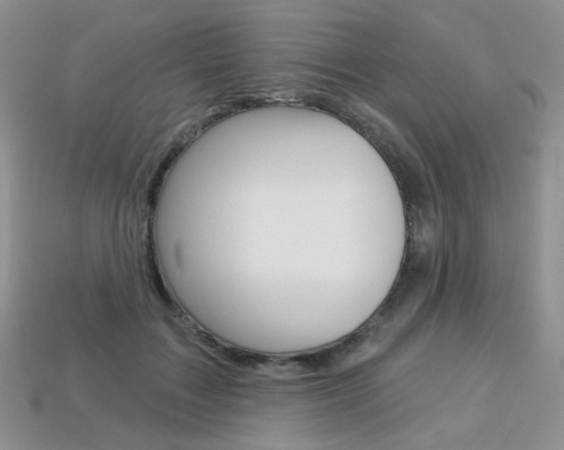 X0000113230603200909100945