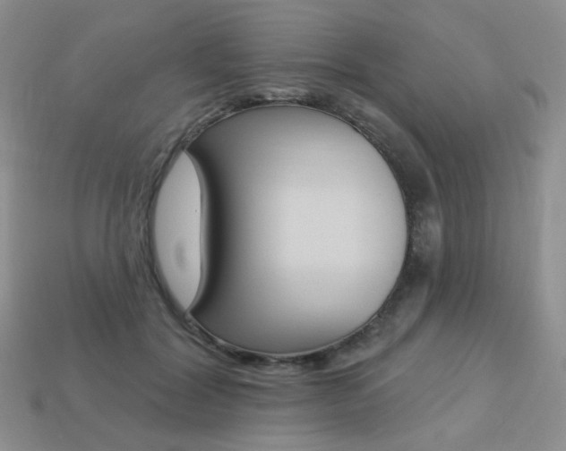 X0000113230604200909100945