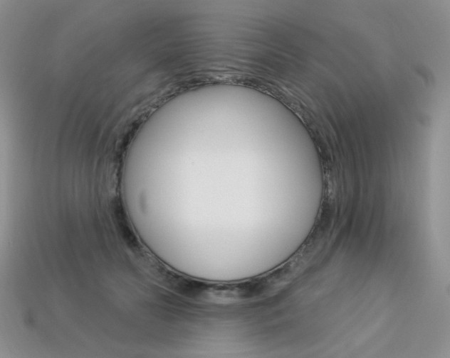 X0000113230606200909100945