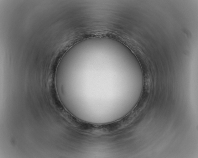 X0000113230608200909100945