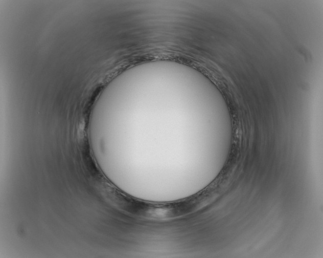 X0000113230610200909100945