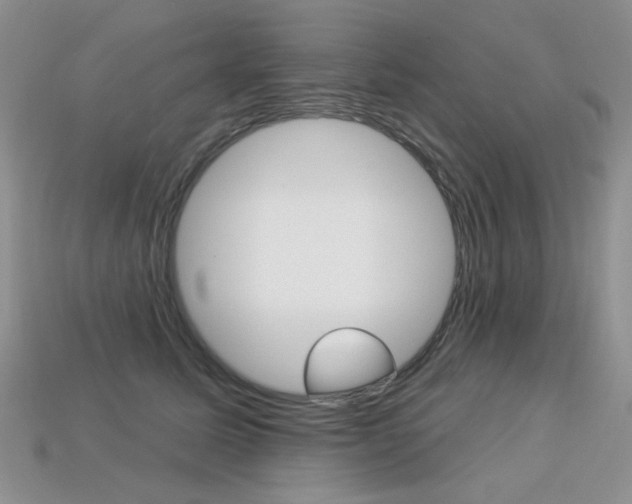 X0000113230611200909100945