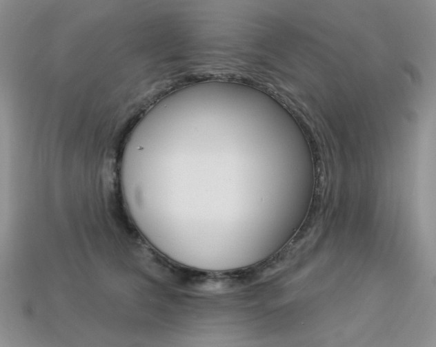 X0000113230612200909100945