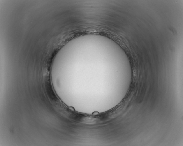 X0000113230614200909100945
