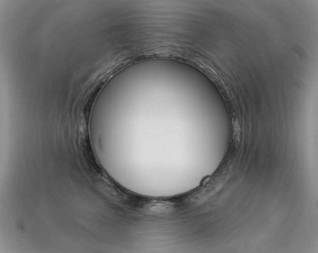 X0000113230617200909100945