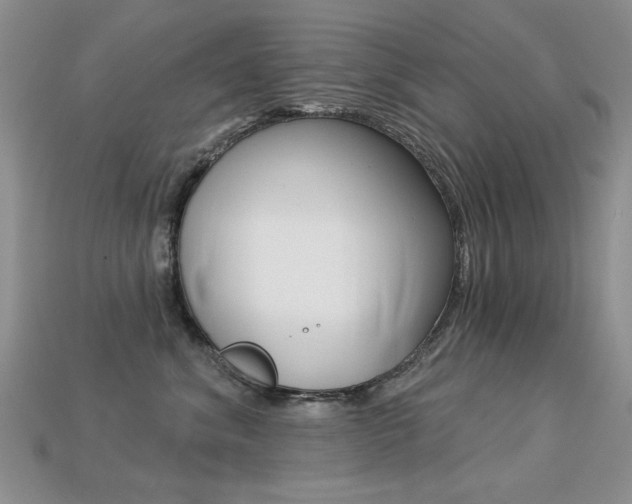 X0000113230620200909100944