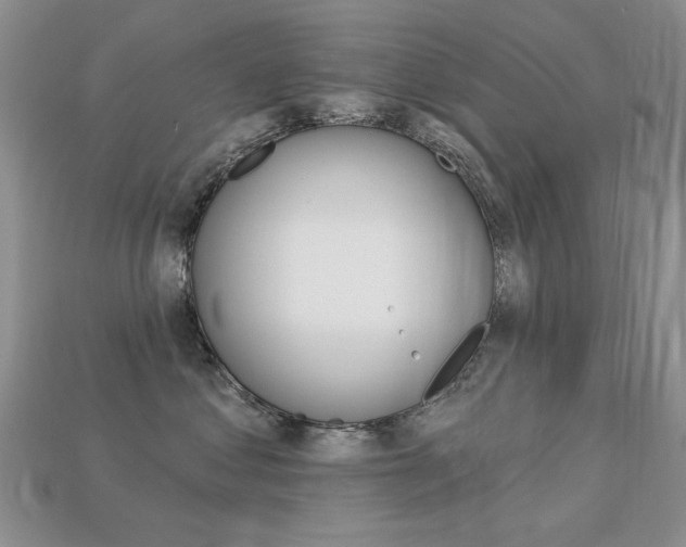 X0000113230621200909100944