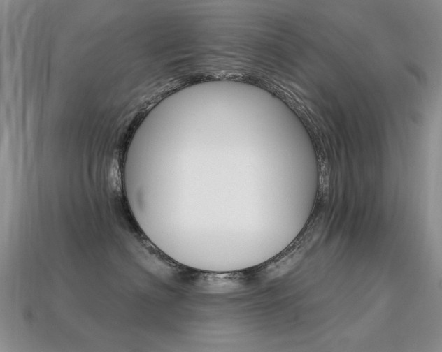 X0000113230622200909100944