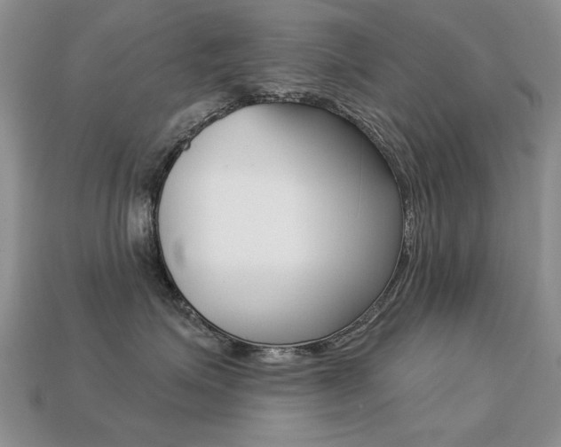 X0000113230623200909100944