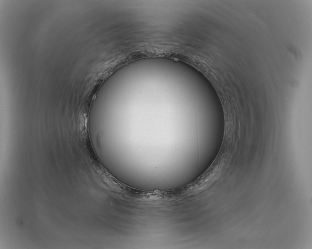 X0000113230624200909100944