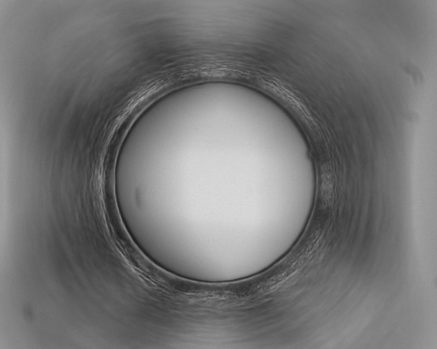 X0000113230626200909100944