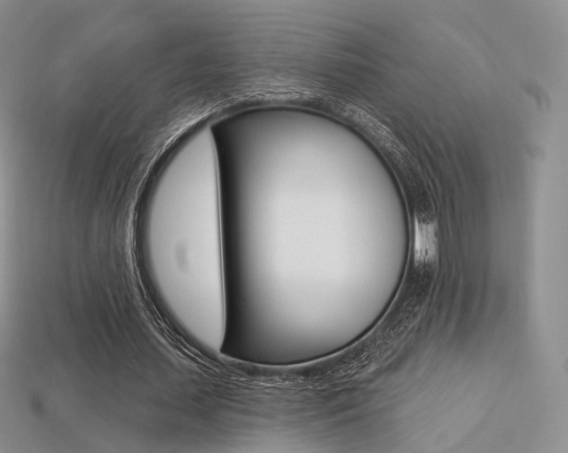 X0000113230627200909100944